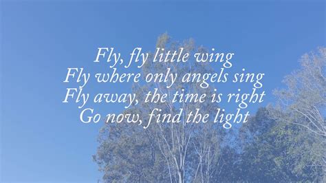 celine dion fly song meaning.